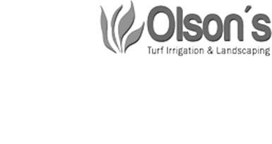 Olson