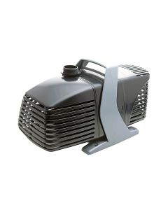 tt-pm-15-260000-01.jpg - 0